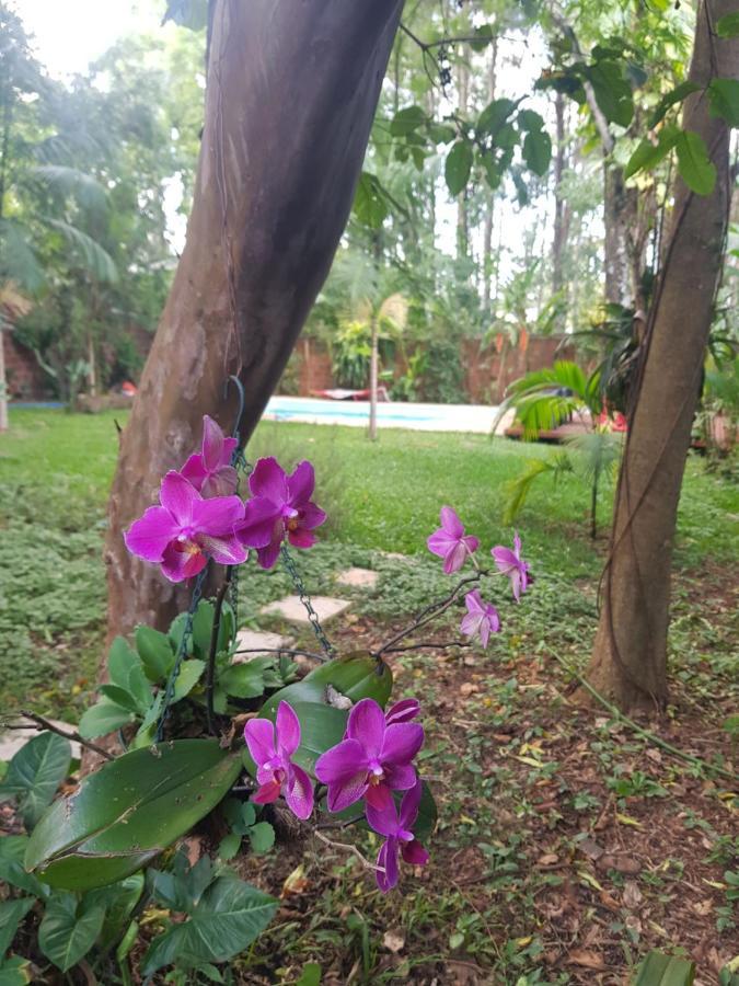 Casa Jaguar Villa Puerto Iguazu Bagian luar foto